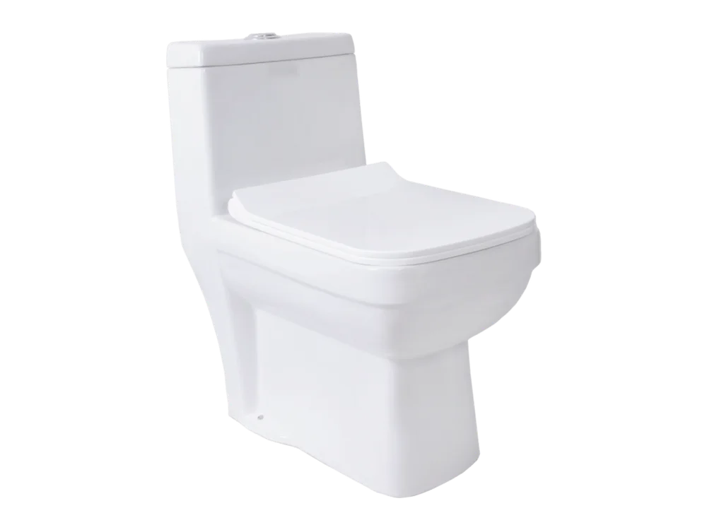 Europa One Piece Toilet