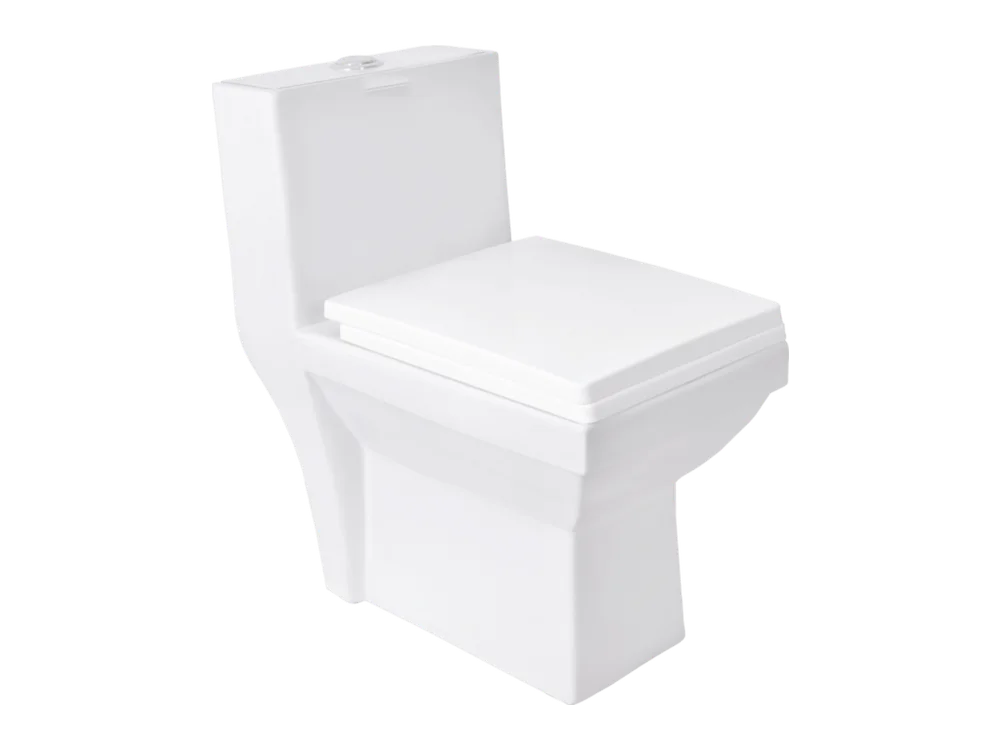 Four Square One Piece Toilet