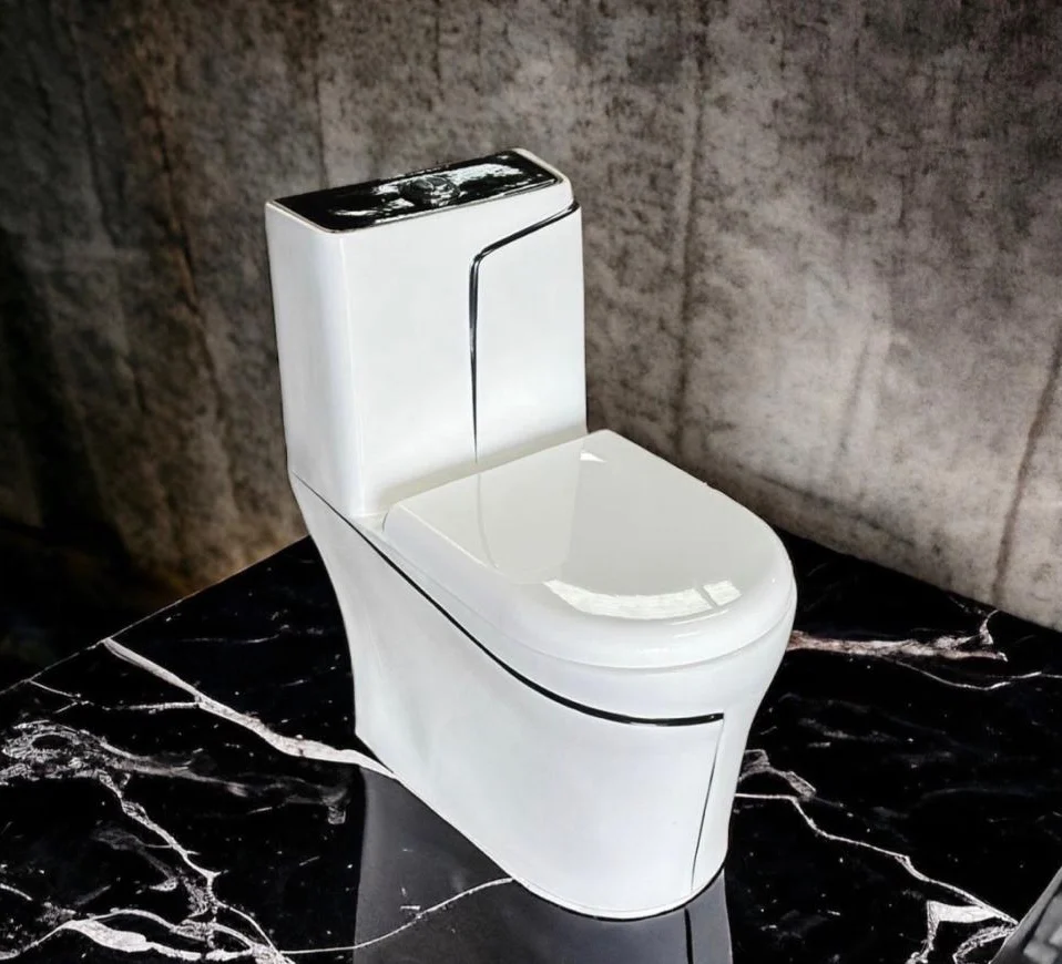 Premium One Piece Toilet 603