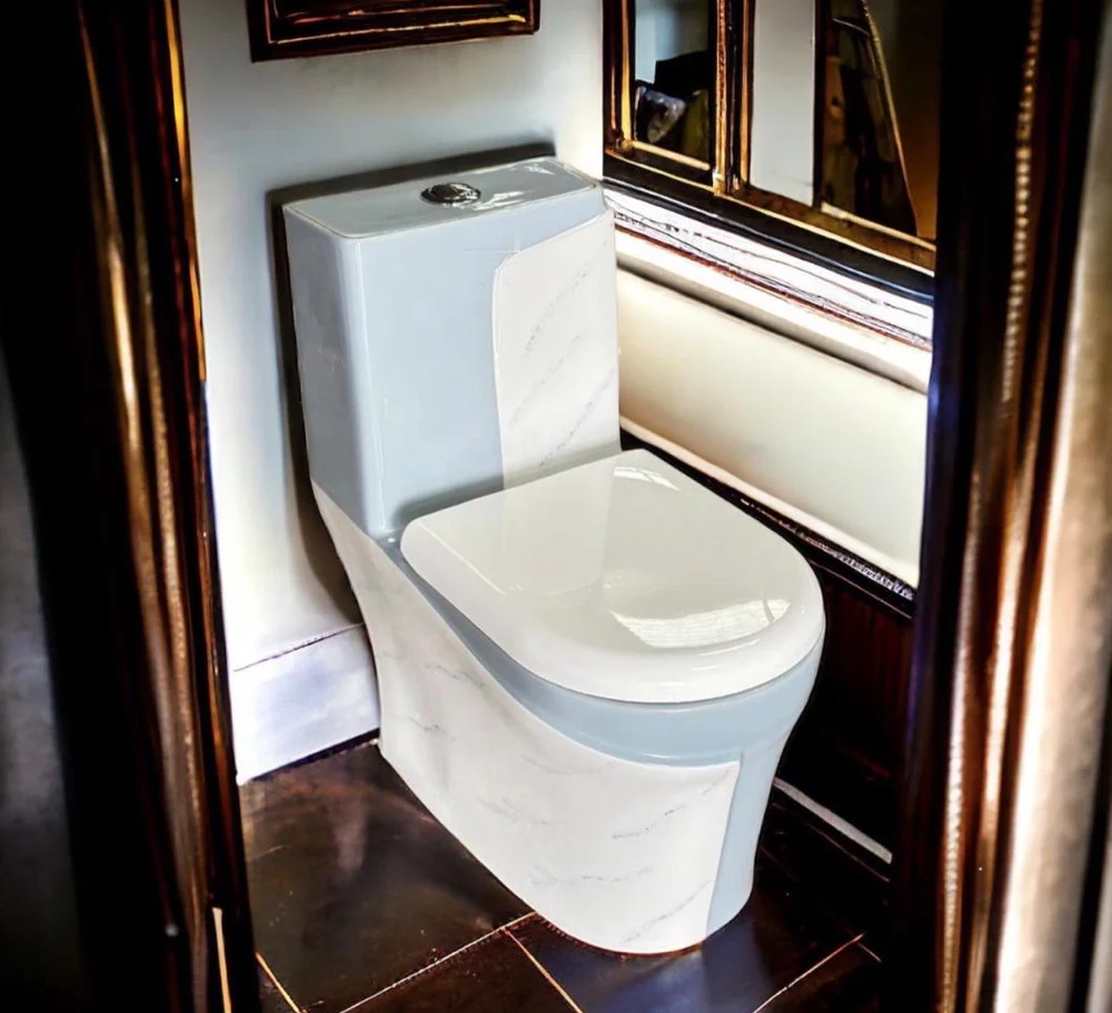 Premium One Piece Toilet 605