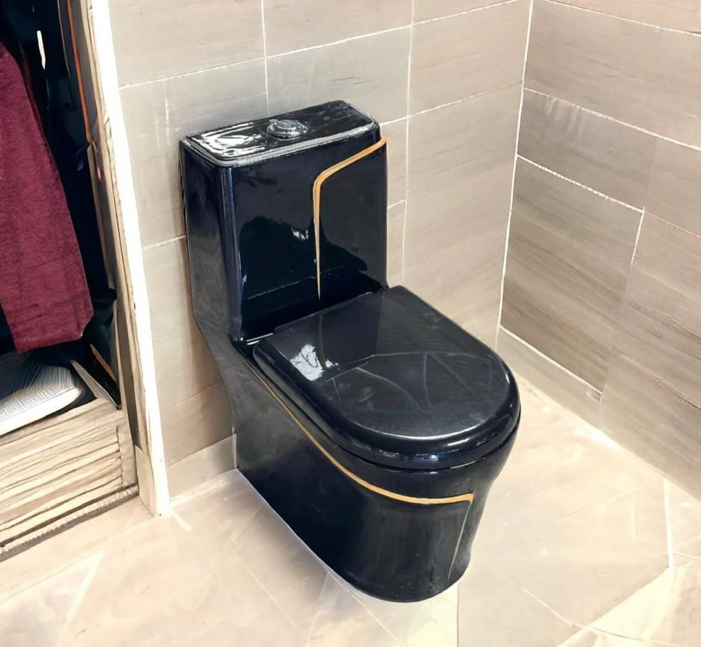 Premium One Piece Toilet 611