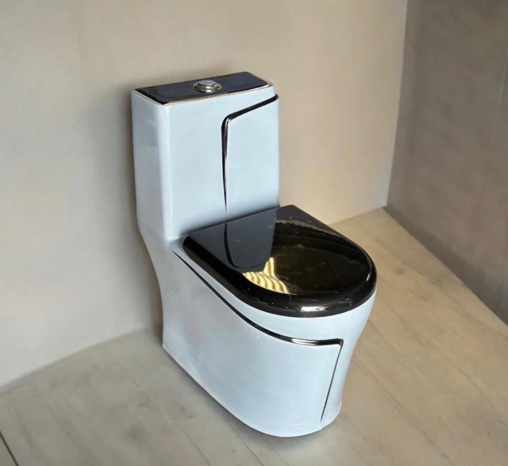 Premium One Piece Toilet 612