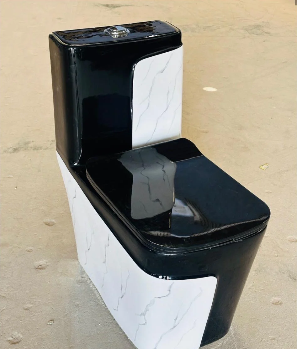 Premium One Piece Toilet 802