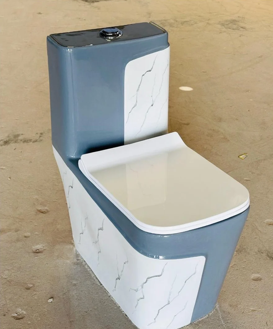 Premium One Piece Toilet 805