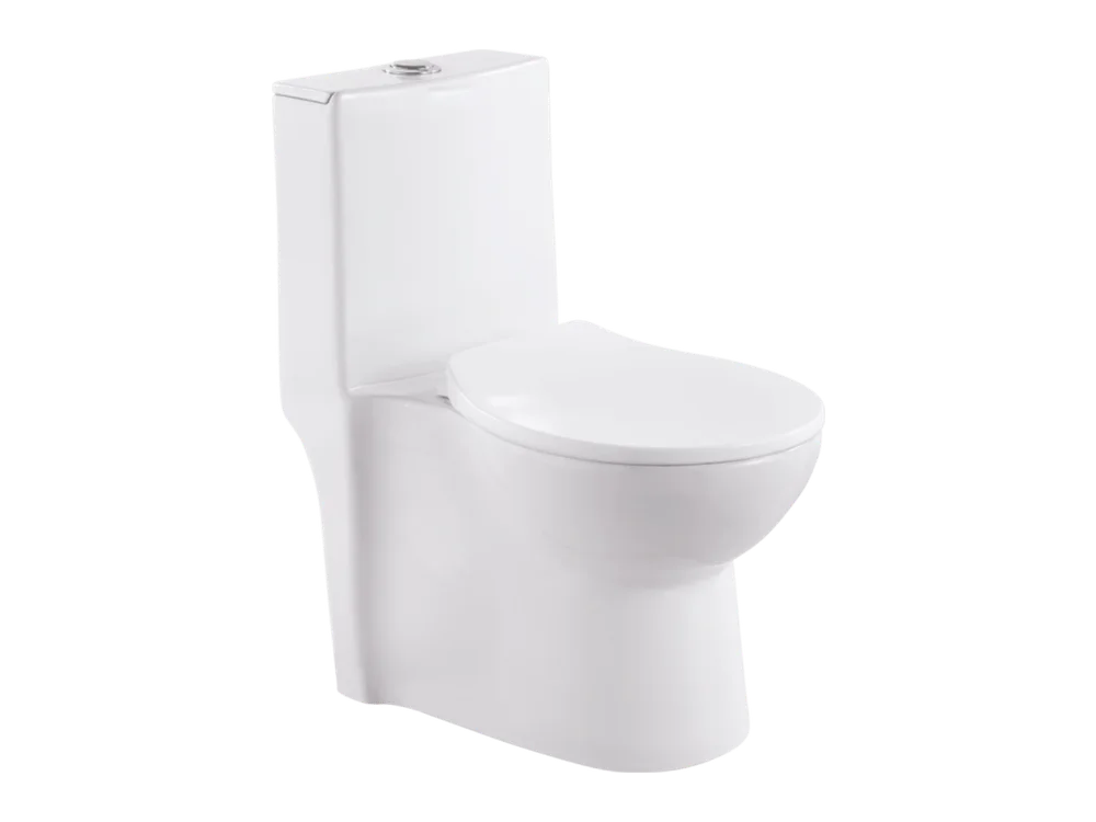 Sky 5d One Piece Toilet