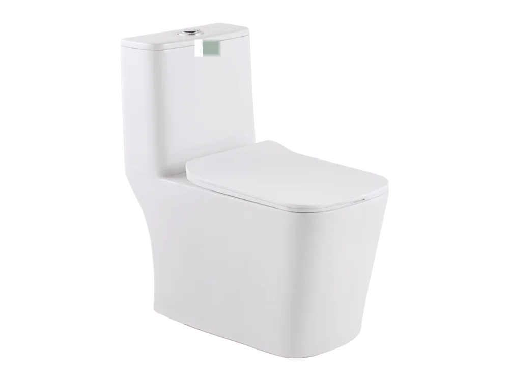 Space 6d One Piece Toilet