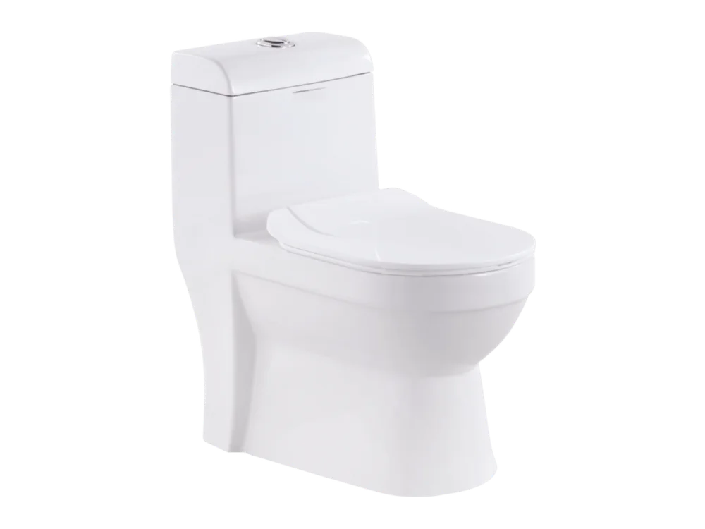 Terra One Piece Toilet