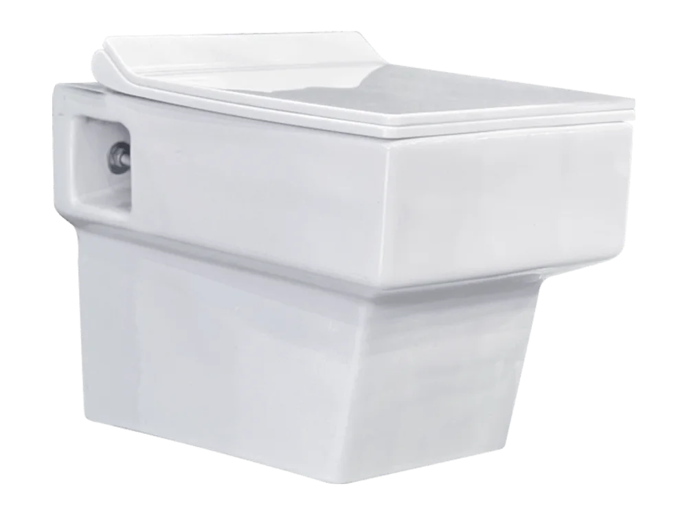 Wall Hung Toilet 605